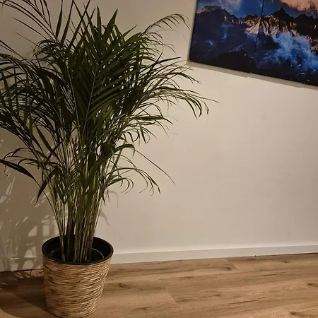 Kezara Living Apartment